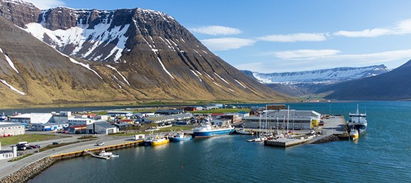 Emerald Princess – 16 Days Iceland & Greenland (Europe)