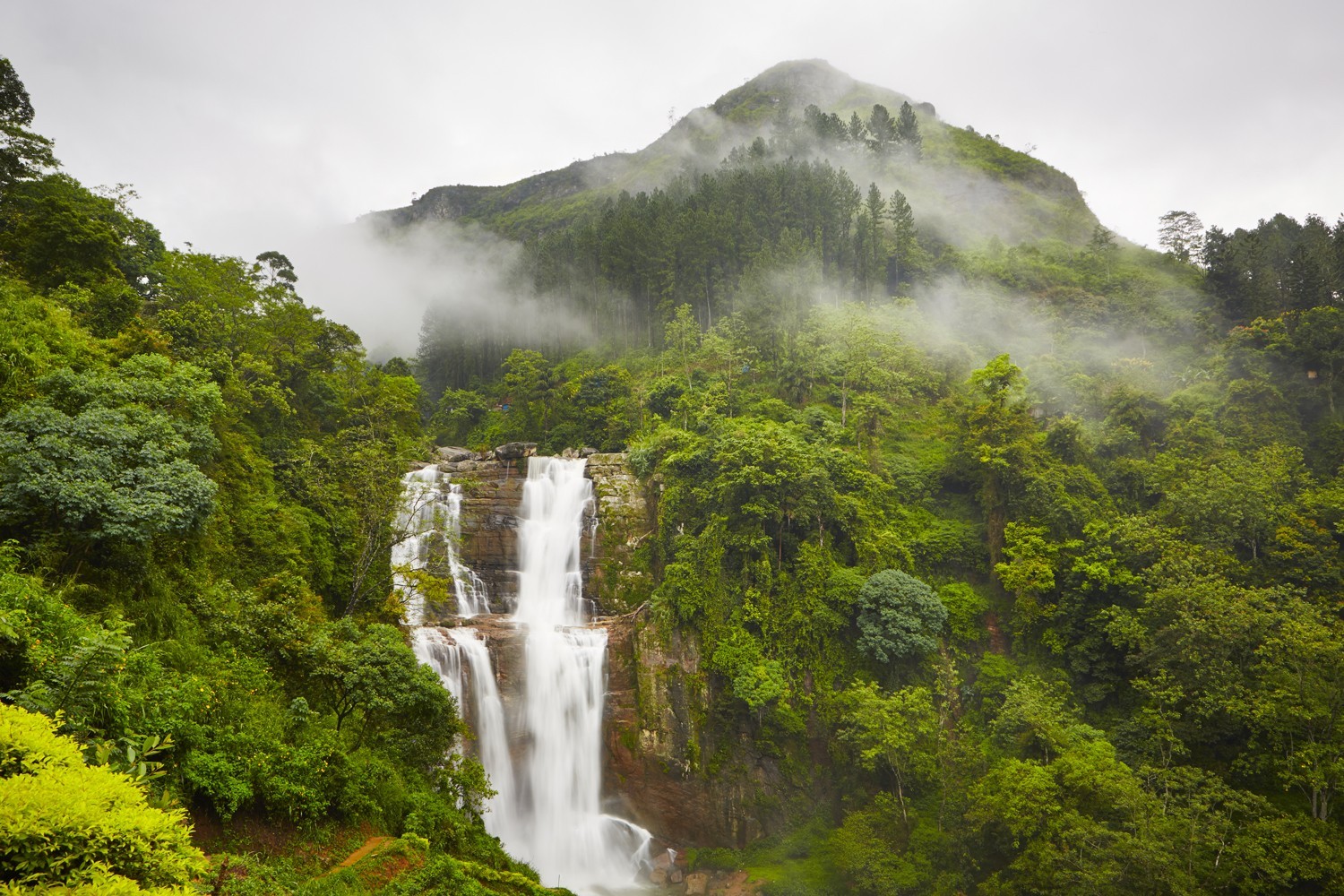 Sri Lanka - 6D5N Ceylon Nature Tour photo 417