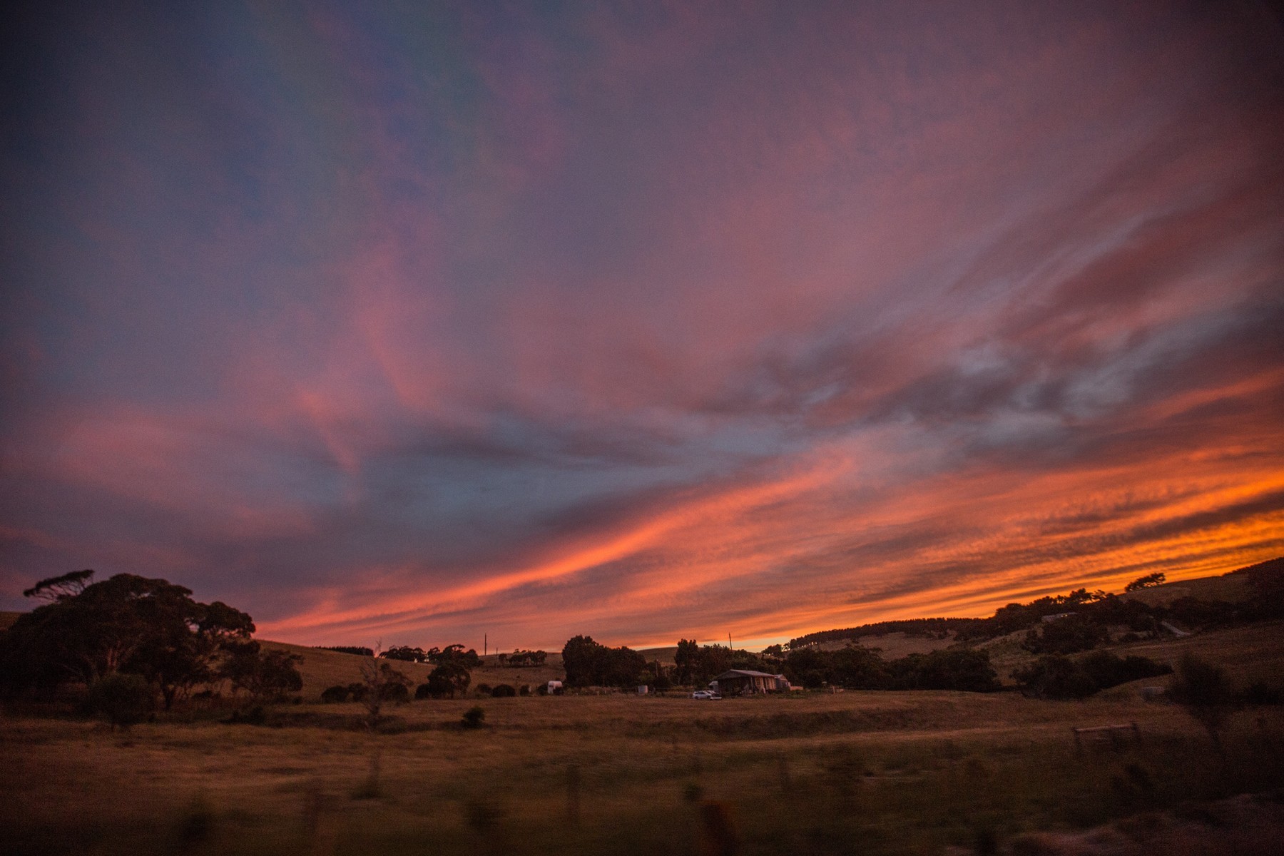 Adelaide - Kangaroo Island Tour (Full Day) photo 1051