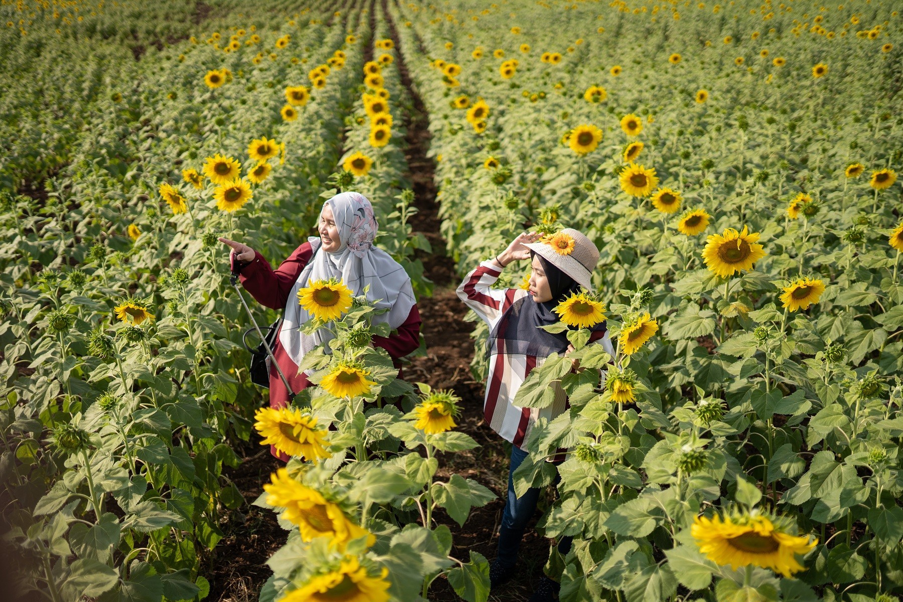 Bangkok & Khao Yai - 5D4N Private Tour photo 2084