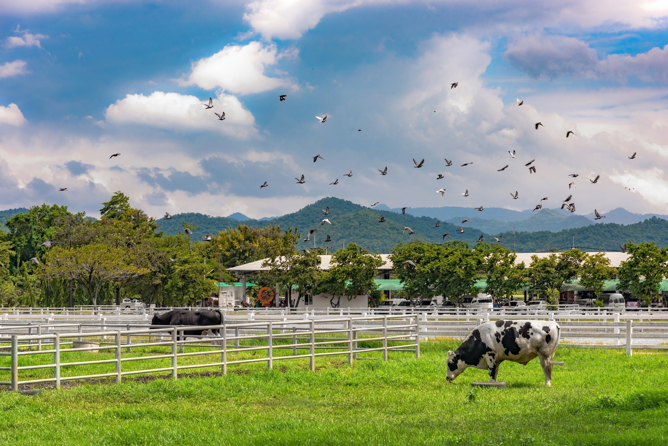 Bangkok & Khao Yai - 5D4N Private Tour photo 2087