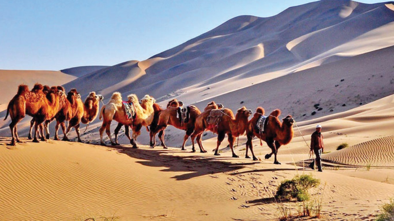 9H7M Inner Mongolia - Muslim photo 5881