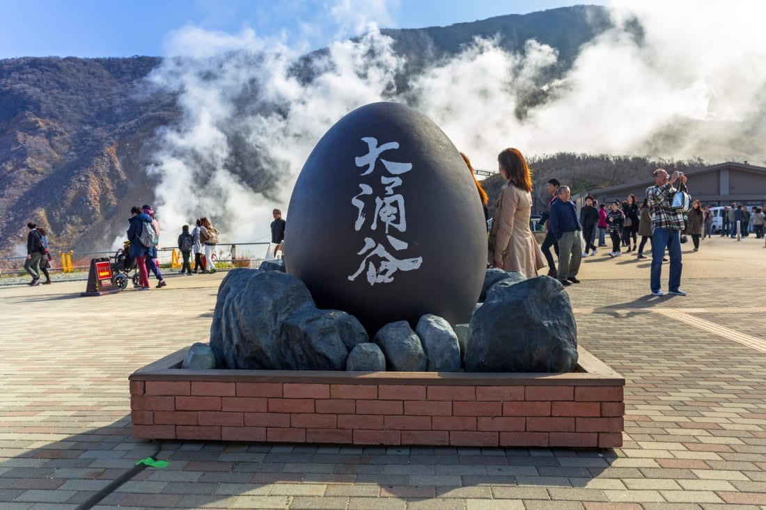 6D5N TOKYO/MT. FUJI/HAKONE/HAMAMATSU/KYOTO/NARA/OSAKA photo 6007