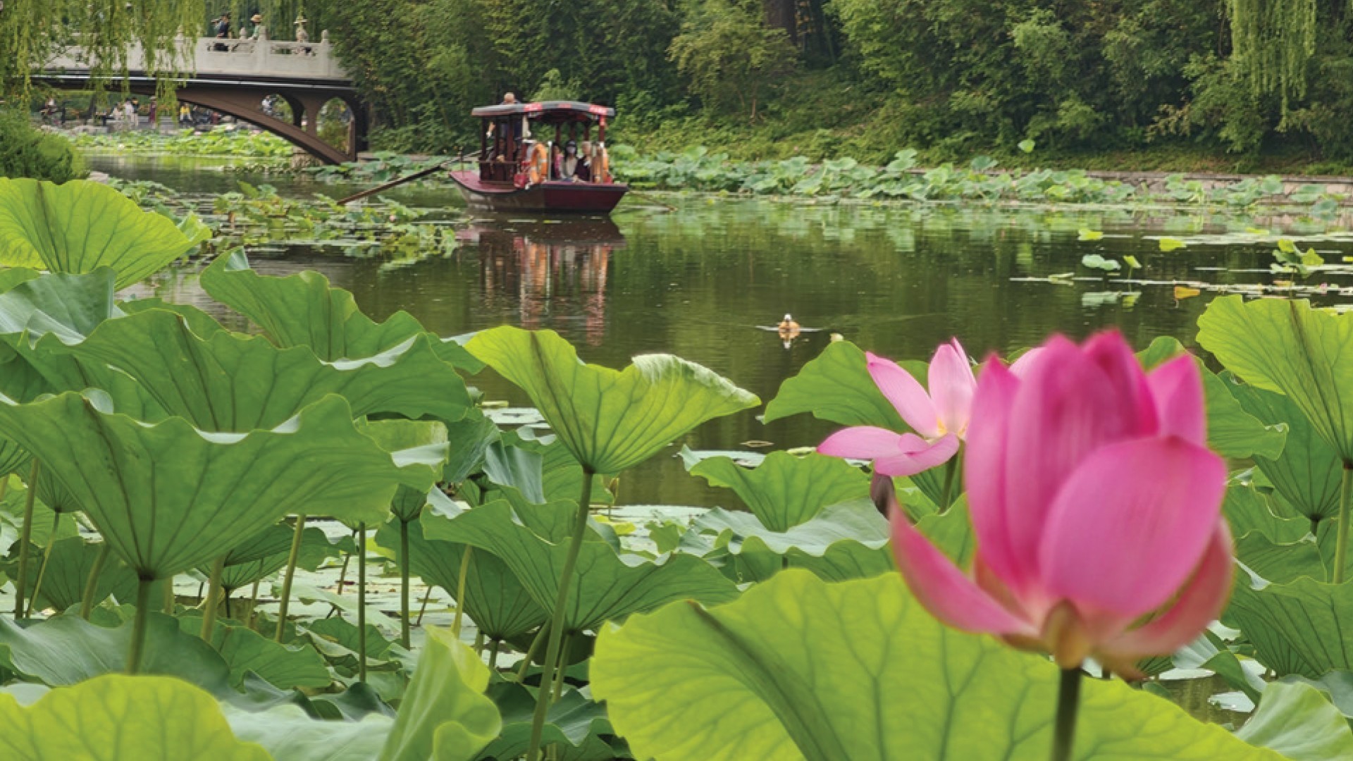 7D5N BEIJING + POP LAND + GUBEI WATER TOWN photo 6047