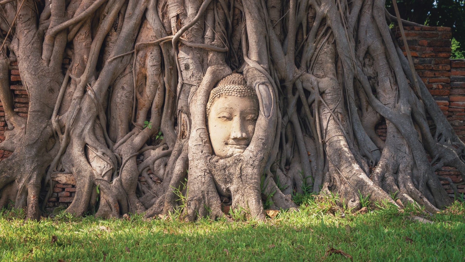 4D3N THE HISTORICAL STORIES OF BANGKOK & AYUTTHAYA photo 6180