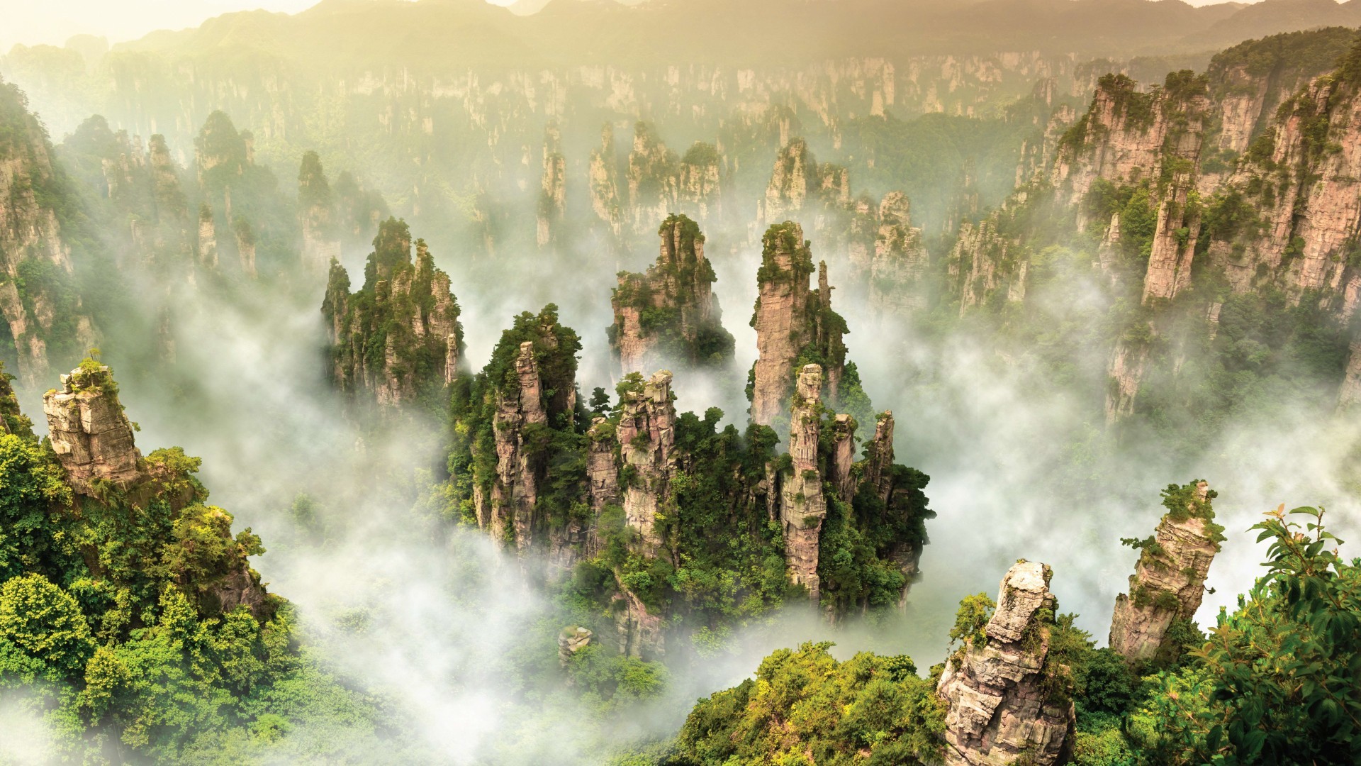 7D5N MESMERIZED BY THE BEAUTY OF ZHANGJIAJIE photo 6237