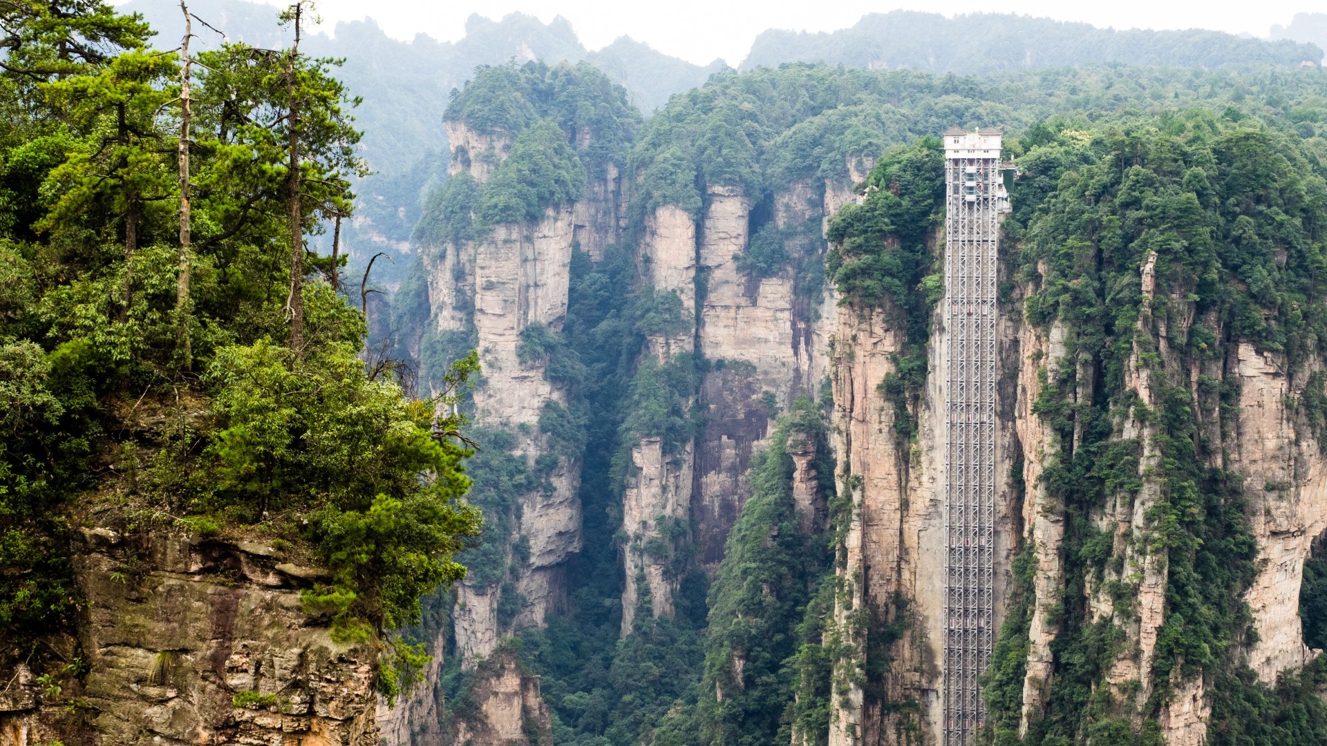 7D5N MESMERIZED BY THE BEAUTY OF ZHANGJIAJIE photo 6240