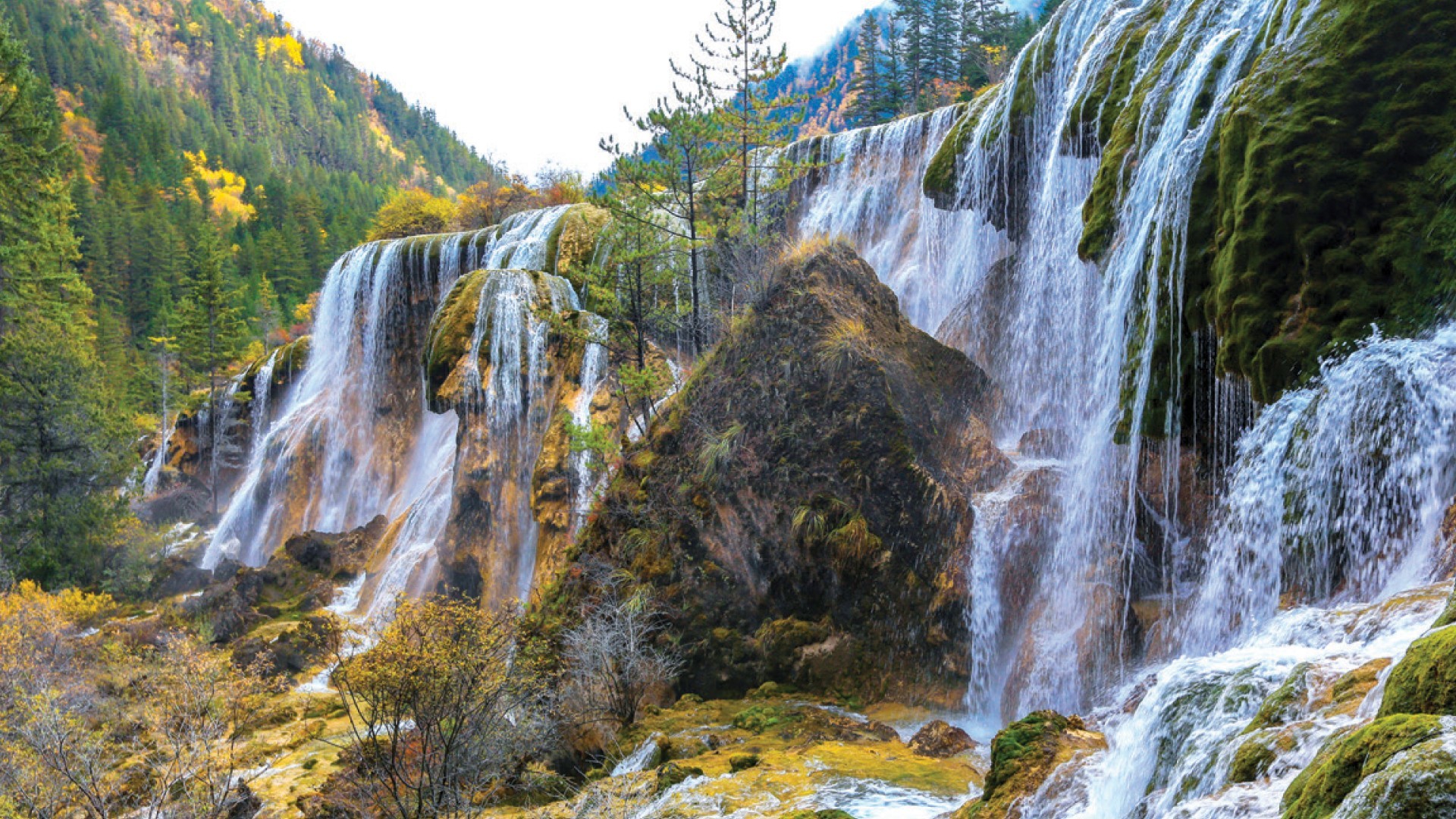 7D5N CHENGDU/JIUZHAIGOU/HUANGLONG/DUJIANGYAN/GIANT PANDA BASE photo 6332