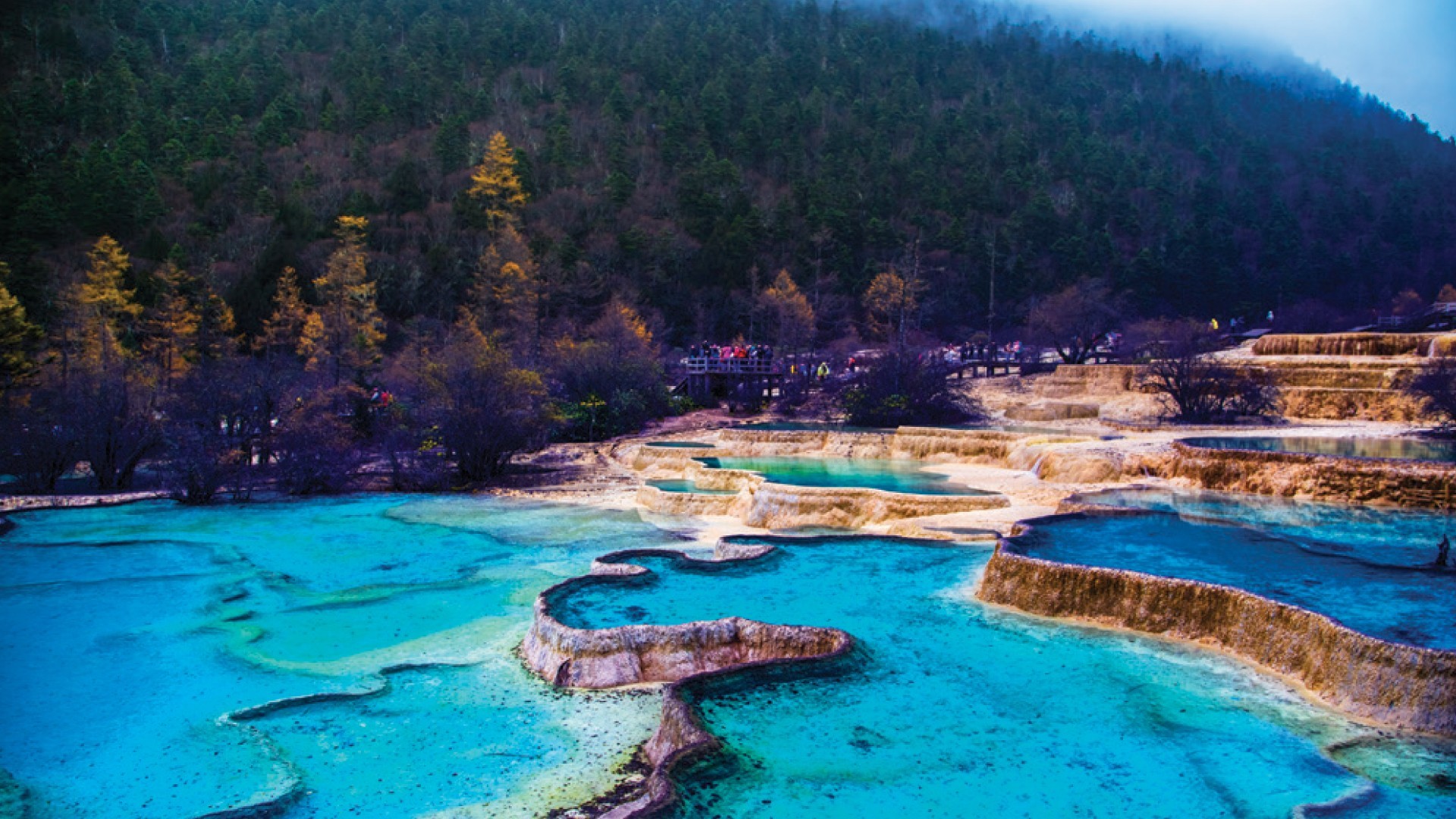 9D7N CHENGDU/JIUZHAIGOU/HUANGLONG/DUJIANGYAN/LESHAN GIANT BUDDHA photo 6337