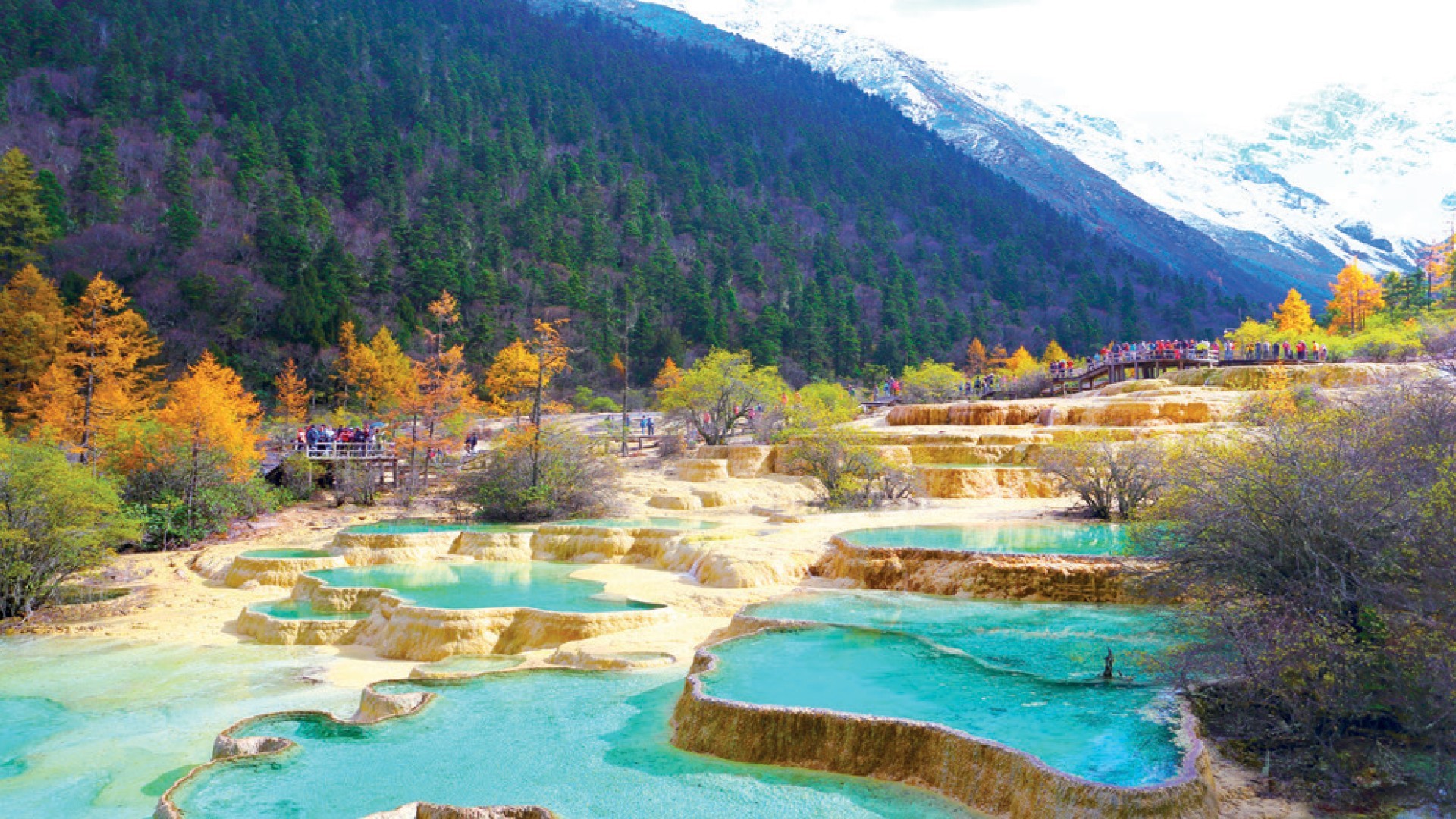 8D7N CHENGDU/JIUZHAIGOU/HUANGLONG/DUJIANGYAN/LESHAN GIANT BUDDHA/EMEI MOUNTAIN photo 6342