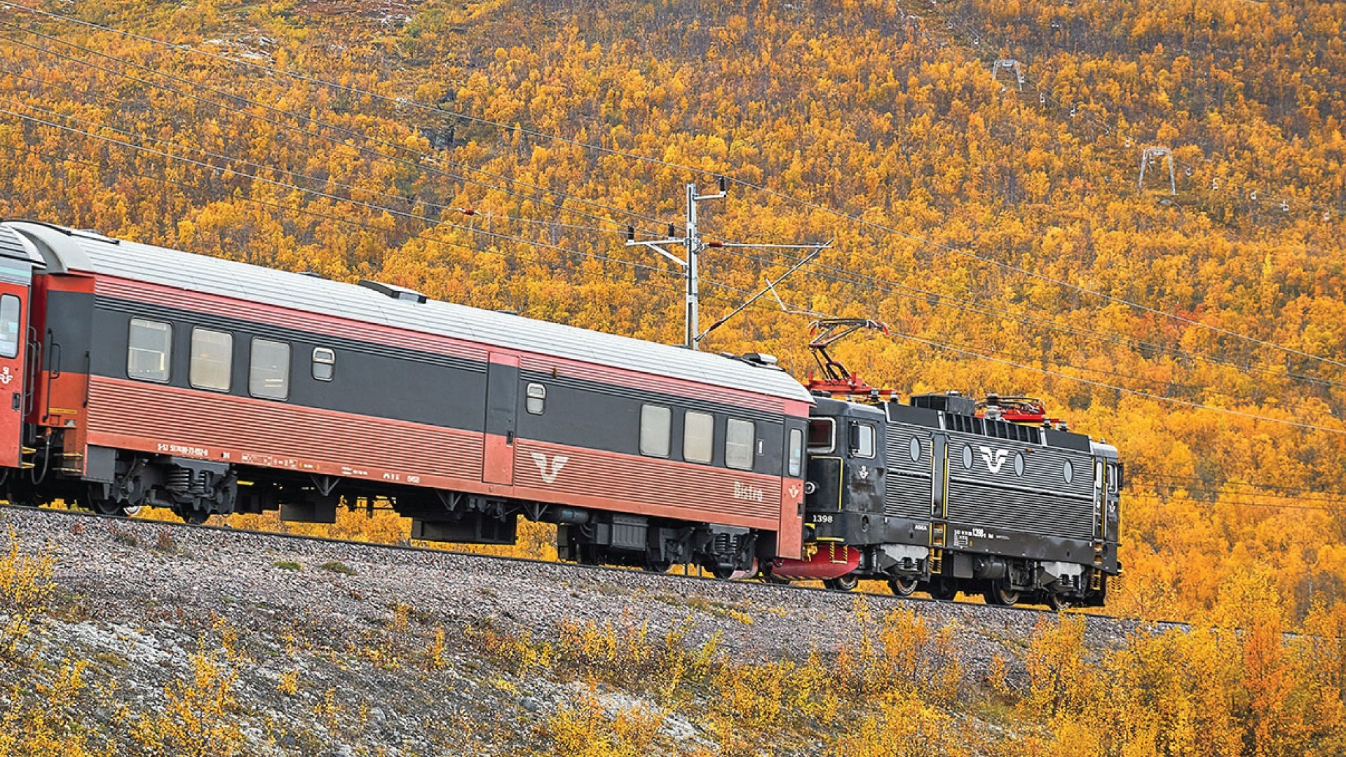 13D Let’s Go Autumn Aurora Adventure + Lofoten Islands photo 6441