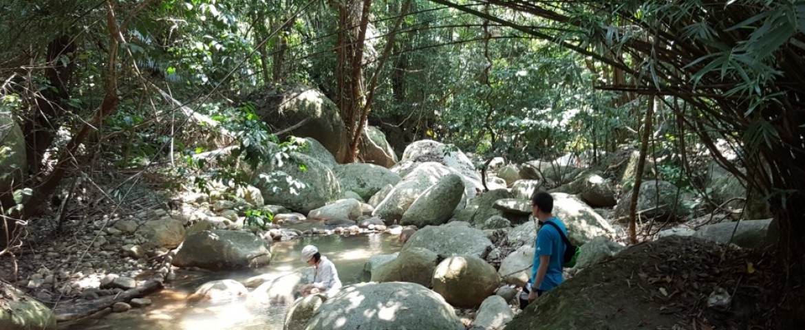 Paya Beach Resort - 2D1N Tioman Spa & Dive (Full Board) photo 358