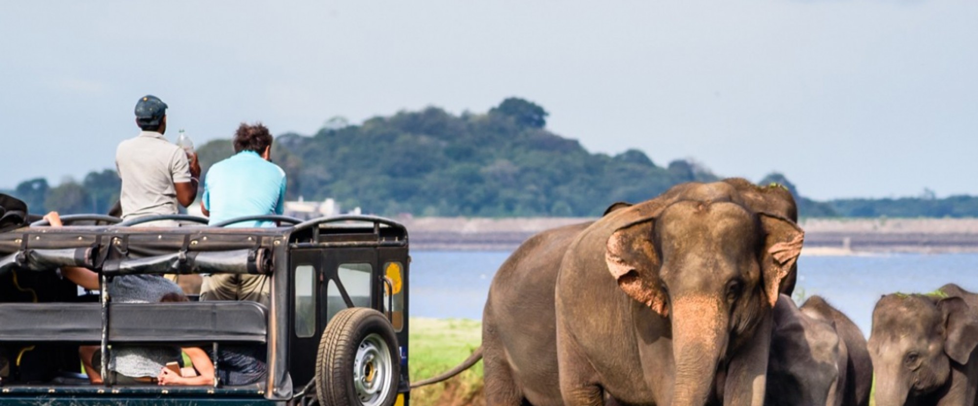 Sri Lanka - 6D5N Ceylon Nature Tour photo 191