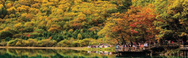 7D5N CHENGDU/JIUZHAIGOU/MOUNIGOU (ONE-WAY HIGH-SPEED TRAIN)